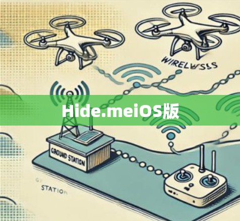 Hide.meiOS版