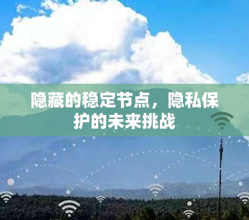 隐藏的稳定节点，隐私保护的未来挑战