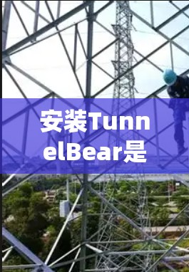 安装TunnelBear是一个系统性的过程，确保每个步骤都正确执行以避免意外。以下是一个详细的安装步骤指南