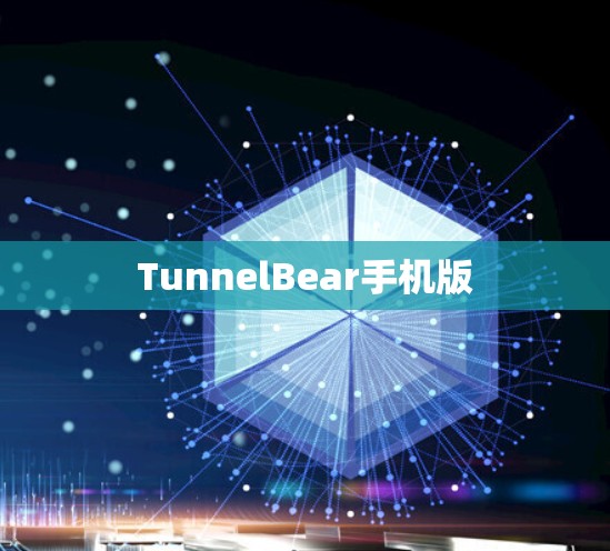 TunnelBear手机版