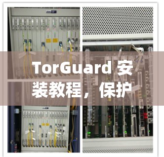 TorGuard 安装教程，保护 Torque 系统的高效解决方案