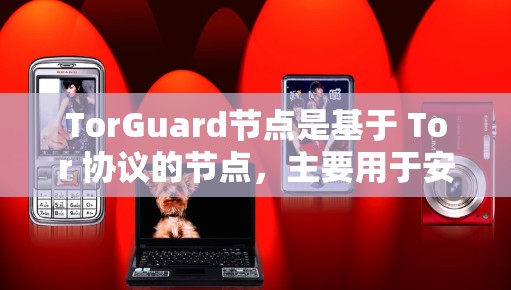 TorGuard节点是基于 Tor 协议的节点,主要用于安全访问Web资源和存储数据。以下是关于 TorGuard节点的详细总结 TorGuard节点是基于 Tor 协议的节点,主要用于安全访问Web资源和存储数据。以下是关于 TorGuard节点的详细总结
