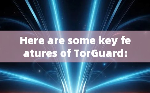 Here are some key features of TorGuard: