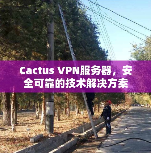 Cactus VPN服务器,安全可靠的技术解决方案 Cactus VPN服务器,安全可靠的技术解决方案
