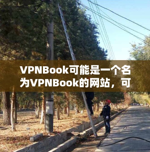 VPNBook可能是一个名为VPNBook的网站，可能是某个VPN或加密文件的网站。不过，我无法直接访问外部链接或网站内容，如果你能提供更具体的链接或更多关于该网站的信息，我可以帮助你进一步指导