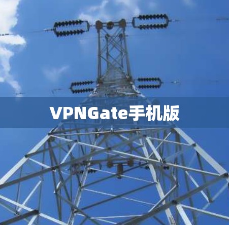 VPNGate手机版