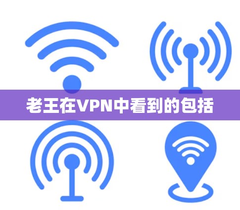 老王在VPN中看到的包括