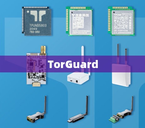 TorGuard