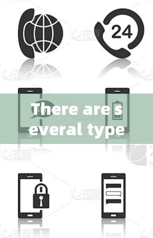 There are several types of Hidden IP VPNs,each with its own features and requirements: