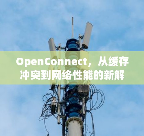 OpenConnect，从缓存冲突到网络性能的新解决方案