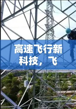 高速飞行新科技，飞鸟加速器的原理与未来展望