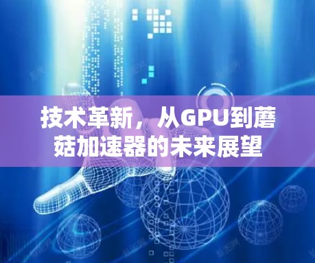 技术革新，从GPU到蘑菇加速器的未来展望