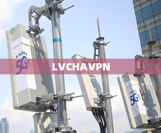LVCHAVPN