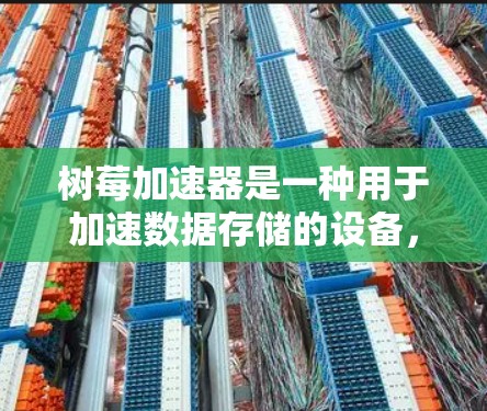 树莓加速器是一种用于加速数据存储的设备，通常指树莓手机或树莓电脑。它能够将手机或电脑上的文件快速读写到另一台设备上，如另一台手机或电脑上。以下是关于树莓加速器的一些基本信息和使用方法