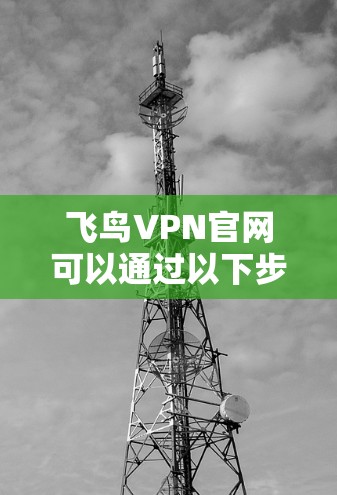 飞鸟VPN官网可以通过以下步骤访问 飞鸟VPN官网可以通过以下步骤访问