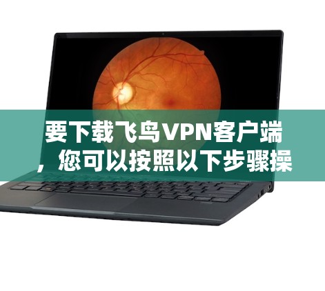 要下载飞鸟VPN客户端,您可以按照以下步骤操作 要下载飞鸟VPN客户端,您可以按照以下步骤操作