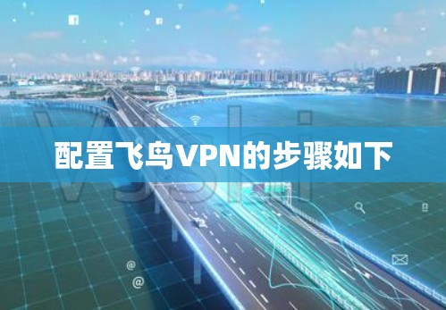 配置飞鸟VPN的步骤如下