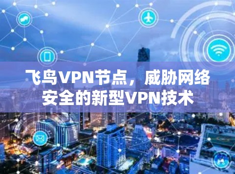 飞鸟VPN节点，威胁网络安全的新型VPN技术