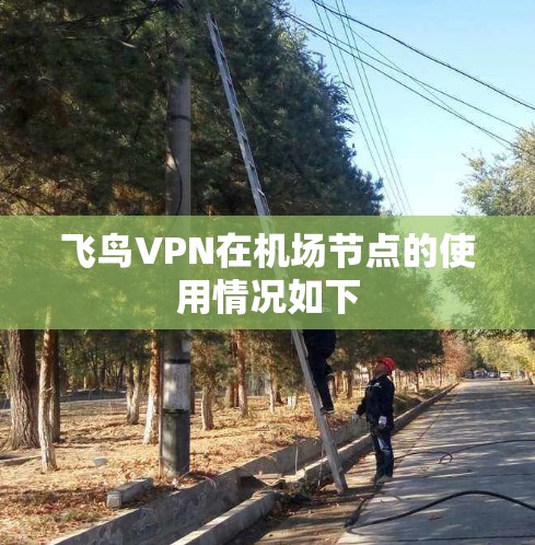 飞鸟VPN在机场节点的使用情况如下 飞鸟VPN在机场节点的使用情况如下