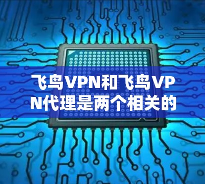 飞鸟VPN和飞鸟VPN代理是两个相关的VPN服务工具，它们在功能、价格、安全性和使用方式上有所不同。以下是它们的区别和选择依据