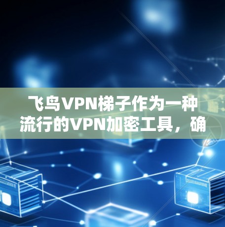 飞鸟VPN梯子作为一种流行的VPN加密工具，确实存在一定的安全风险。以下是详细的分析和建议