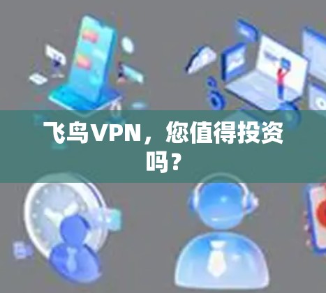 飞鸟VPN，您值得投资吗？