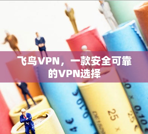 飞鸟VPN，一款安全可靠的VPN选择