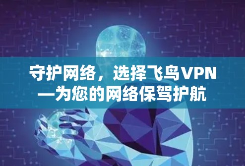 守护网络,选择飞鸟VPN—为您的网络保驾护航 守护网络,选择飞鸟VPN—为您的网络保驾护航