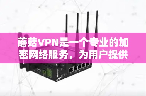 蘑菇VPN是一个专业的加密网络服务，为用户提供安全的网络连接体验。以下是一个清晰的步骤指南，帮助您顺利下载和使用蘑菇VPN