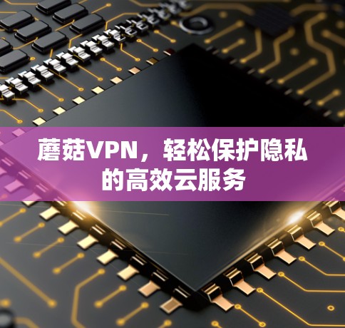 蘑菇VPN,轻松保护隐私的高效云服务 蘑菇VPN,轻松保护隐私的高效云服务