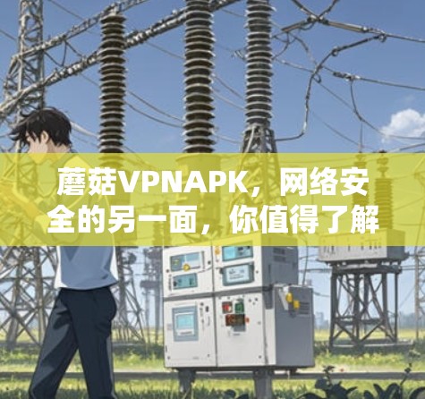 蘑菇VPNAPK,网络安全的另一面,你值得了解 蘑菇VPNAPK,网络安全的另一面,你值得了解