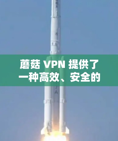 蘑菇 VPN 提供了一种高效、安全的VPN解决方案，帮助用户在互联网安全性和数据传输效率上达到更好的平衡。以下是一些关键信息