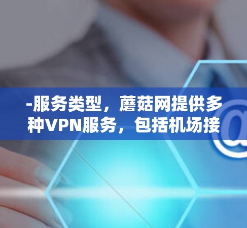 -服务类型，蘑菇网提供多种VPN服务，包括机场接入服务