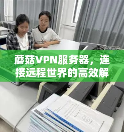蘑菇VPN服务器，连接远程世界的高效解决方案