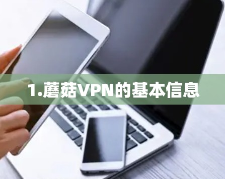 1.蘑菇VPN的基本信息