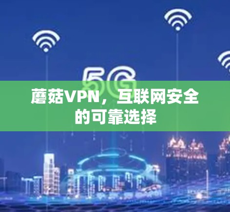 蘑菇VPN，互联网安全的可靠选择