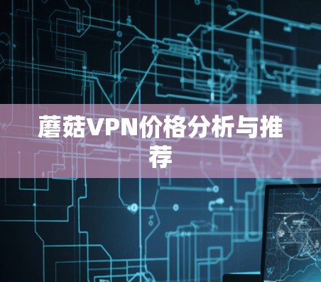 蘑菇VPN价格分析与推荐