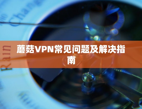 蘑菇VPN常见问题及解决指南 蘑菇VPN常见问题及解决指南