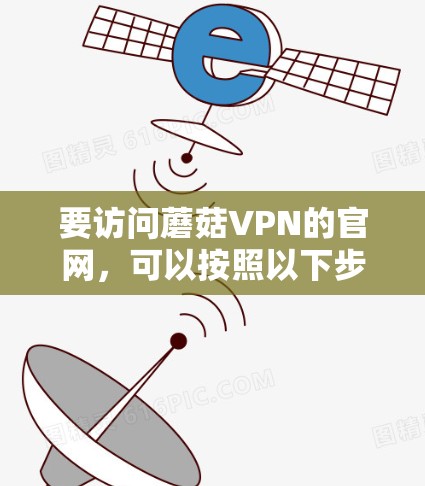 要访问蘑菇VPN的官网，可以按照以下步骤进行