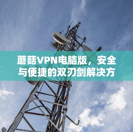 蘑菇VPN电脑版，安全与便捷的双刃剑解决方案