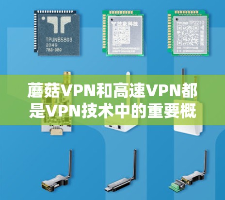 蘑菇VPN和高速VPN都是VPN技术中的重要概念，但它们有不同的背景和特点。以下是关于蘑菇VPN和高速VPN的一些信息