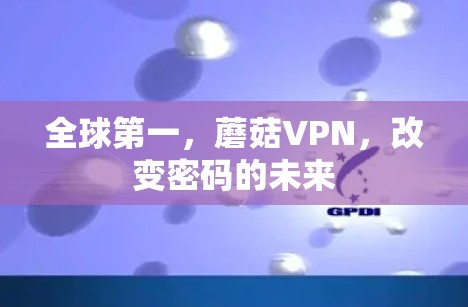 全球第一，蘑菇VPN，改变密码的未来