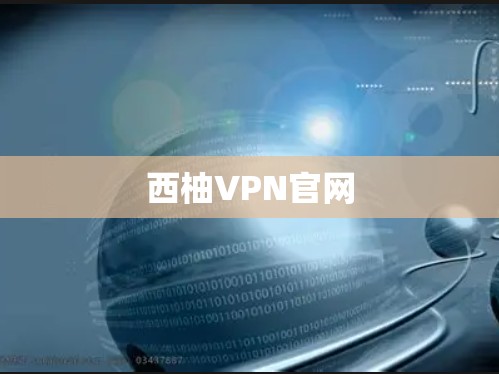 西柚VPN官网 西柚VPN官网