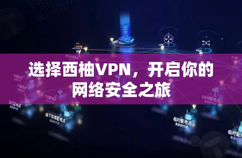 选择西柚VPN，开启你的网络安全之旅