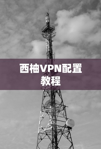 西柚VPN配置教程 西柚VPN配置教程