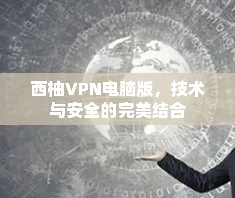西柚VPN电脑版，技术与安全的完美结合