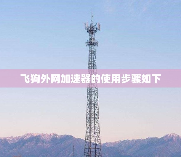飞狗外网加速器的使用步骤如下 飞狗外网加速器的使用步骤如下