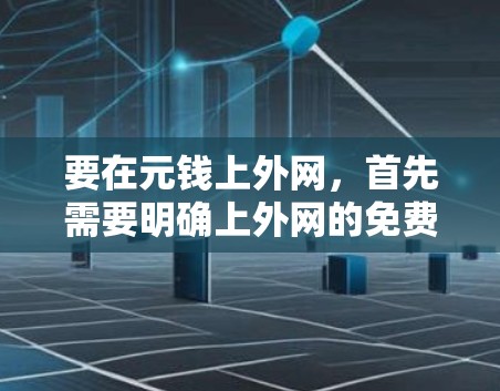 要在元钱上外网，首先需要明确上外网的免费套餐和使用限制。以下是一些关键步骤