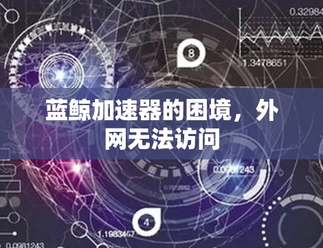 蓝鲸加速器的困境,外网无法访问 蓝鲸加速器的困境,外网无法访问