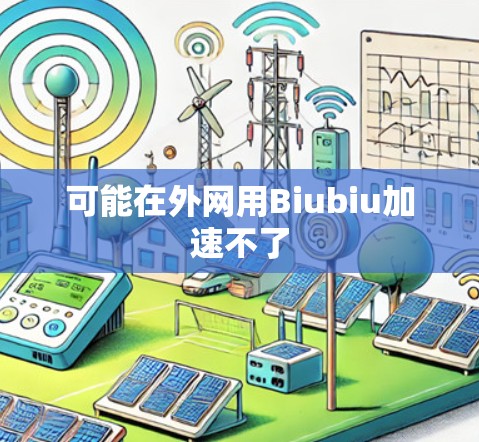 可能在外网用Biubiu加速不了